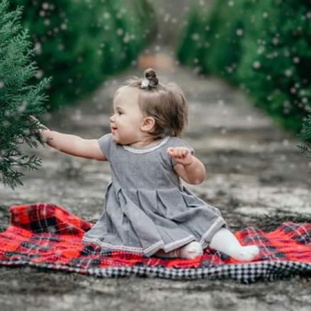 Tahari 6-9 month baby girl pleated holiday dress